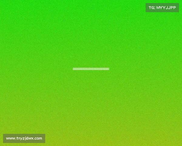 法甲联赛观众人数增长趋势与球迷文化影响的深度分析